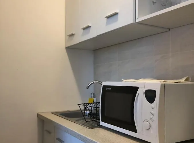 Le Garcon De Sara-simple,cosy,spatious * Bucharest