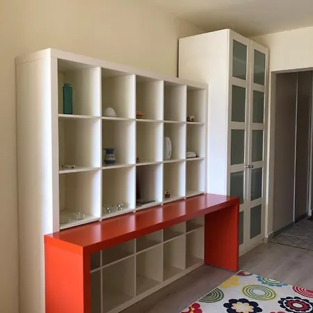 Le Garcon De Sara-simple,cosy,spatious بوخارست