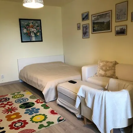 Le Garcon De Sara-simple,cosy,spatious * بوخارست